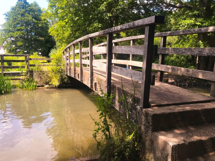Walk around Wickham Water Meadows