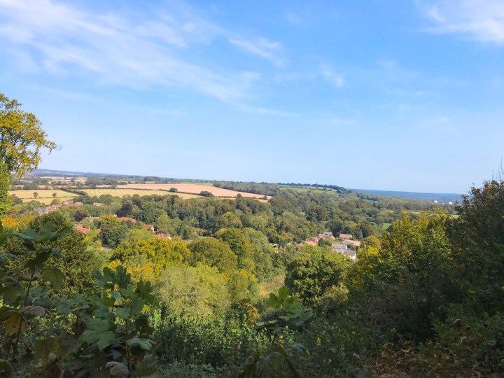 The Zig Zag Path in Selborne