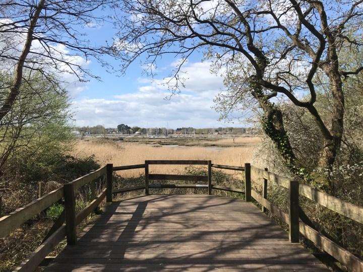 Walk Holly Hill Woodland Park
