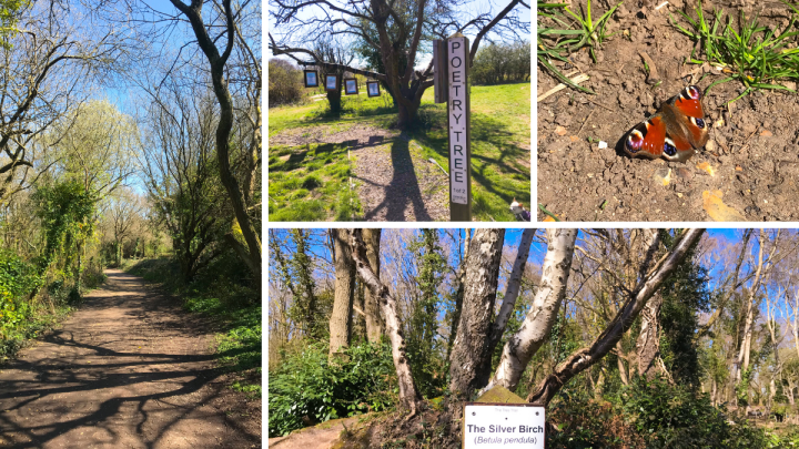 Walk around Warsash Nature Reserve