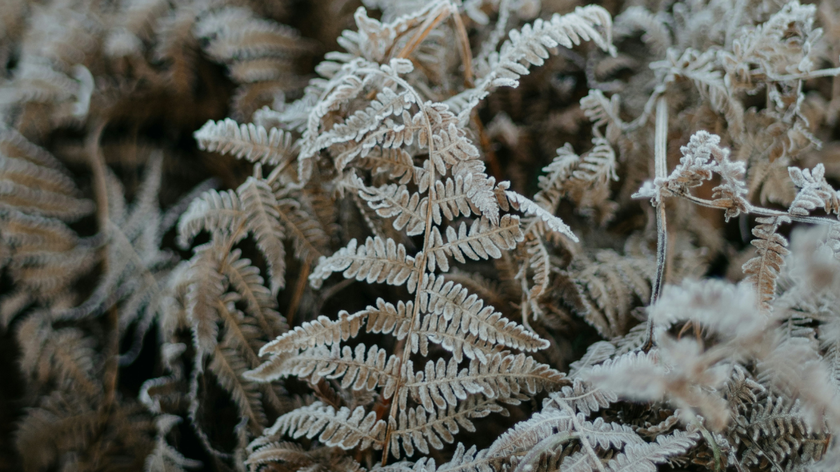 Things To Do In Hampshire January 2026